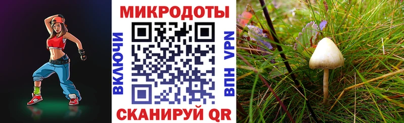 ссылка на мегу вход  Чёрмоз  Галлюциногенные грибы мицелий 