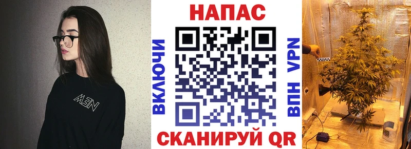 Канабис план  Чёрмоз 